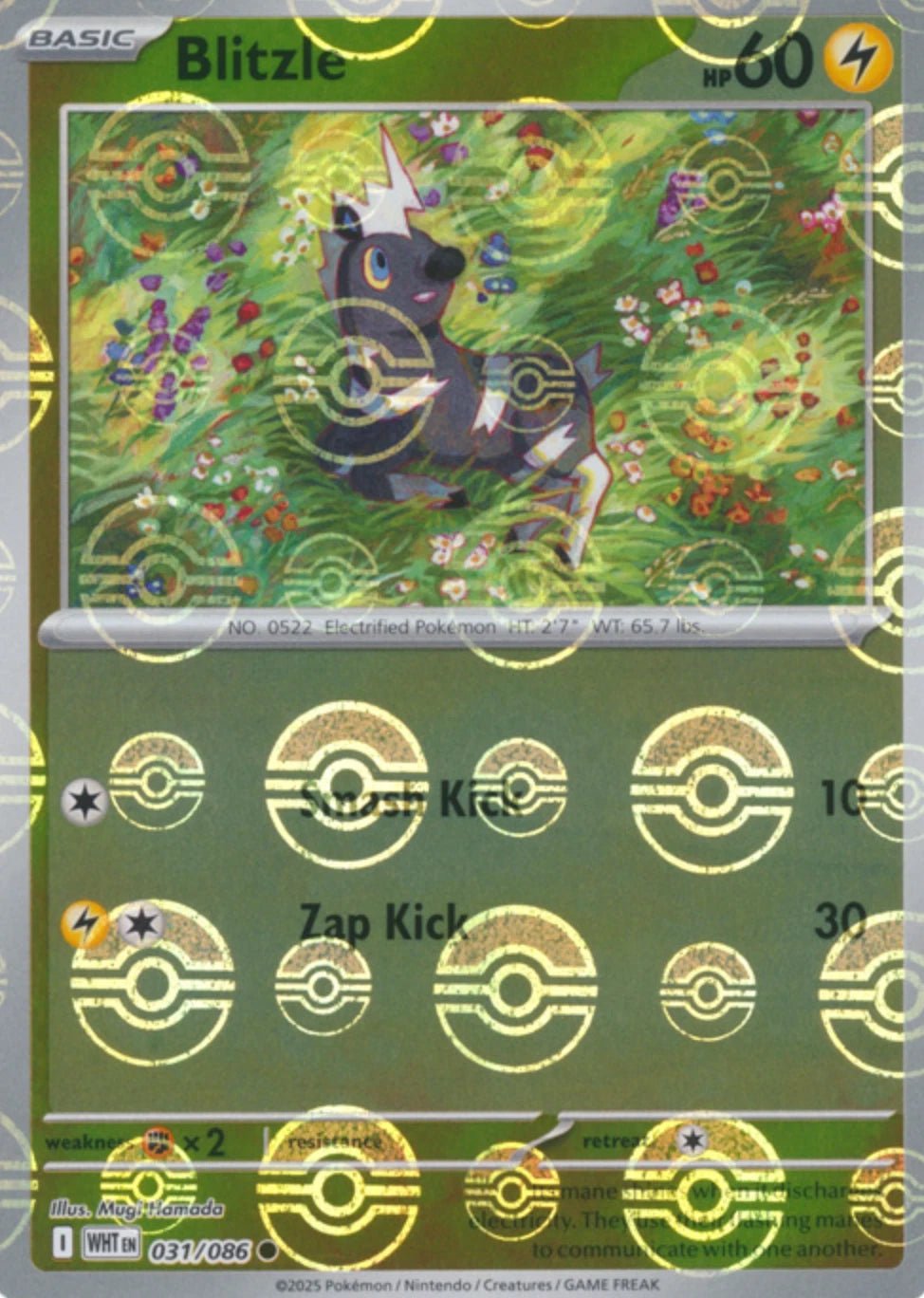Blitzle (Poke Ball Pattern) [WHT - 031/086] - Atomili Collectables